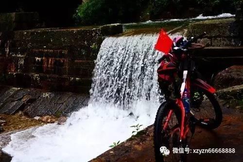 春雨直播app