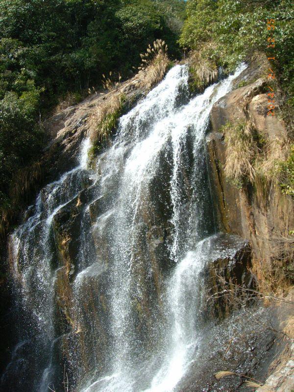 虫虫助手下载